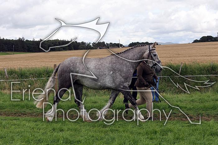 Carnwath2025Ring1527