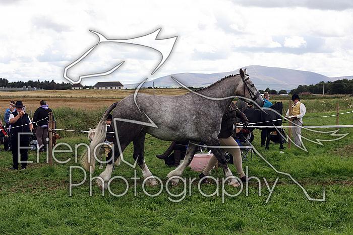 Carnwath2025Ring1531