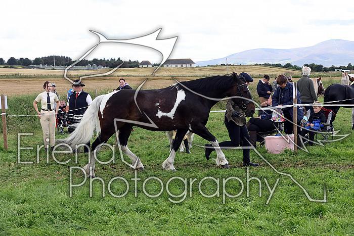 Carnwath2025Ring1532