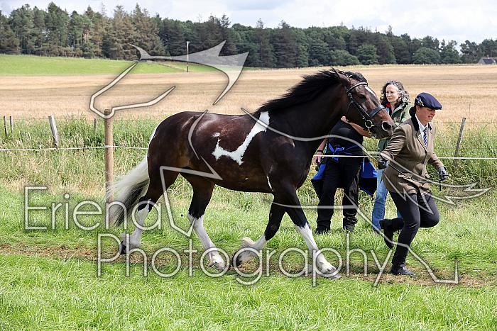 Carnwath2025Ring1533