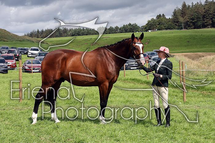Carnwath2025Ring1536