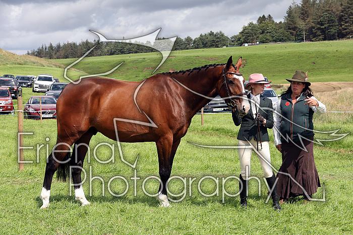 Carnwath2025Ring1537