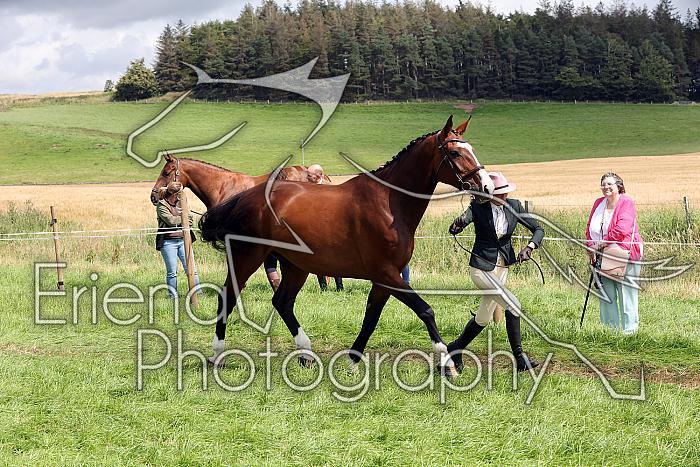 Carnwath2025Ring1539