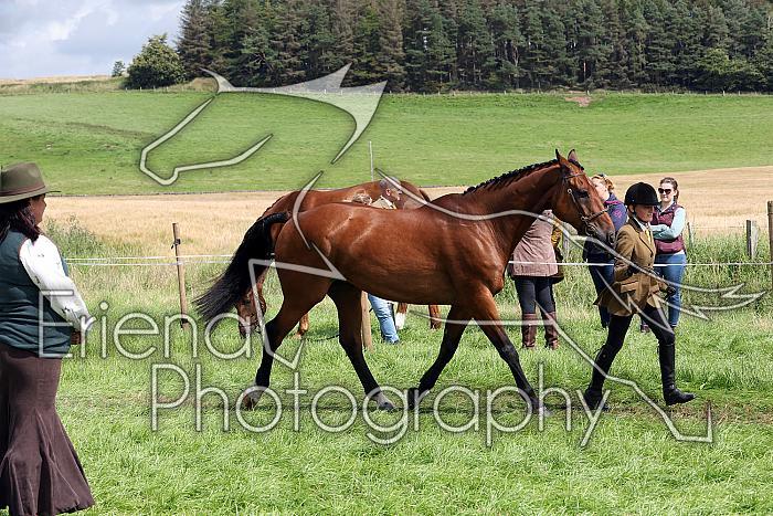 Carnwath2025Ring1541