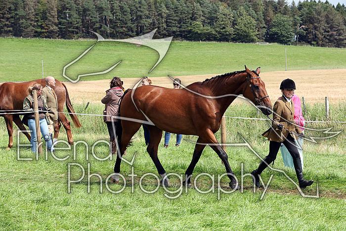 Carnwath2025Ring1542
