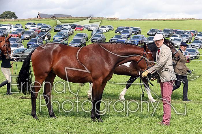 Carnwath2025Ring1546