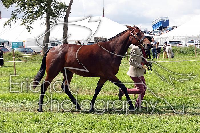 Carnwath2025Ring1553
