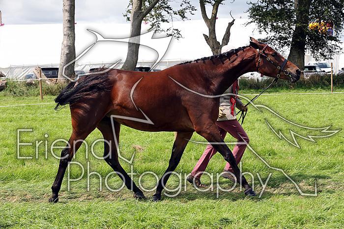 Carnwath2025Ring1555
