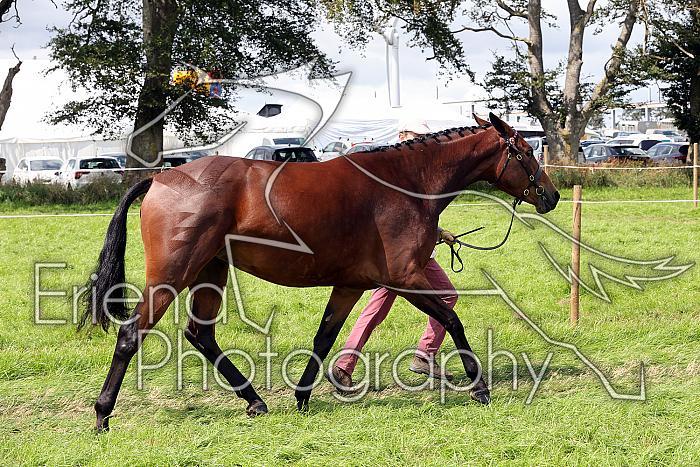 Carnwath2025Ring1556