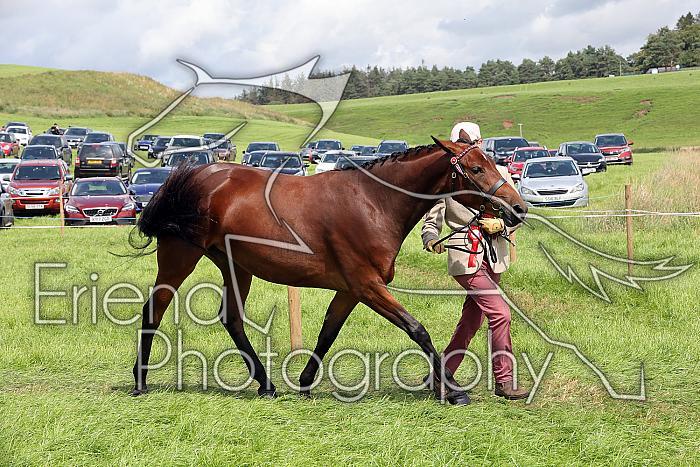 Carnwath2025Ring1559