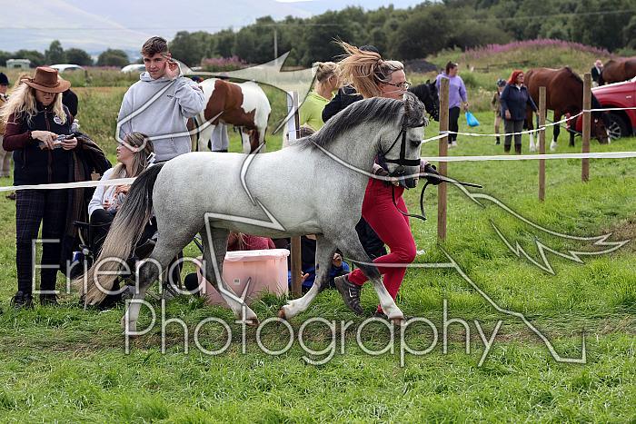 Carnwath2025Ring1565