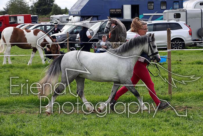 Carnwath2025Ring1566