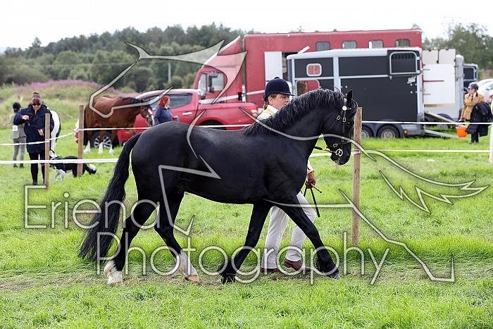 Carnwath2025Ring1569