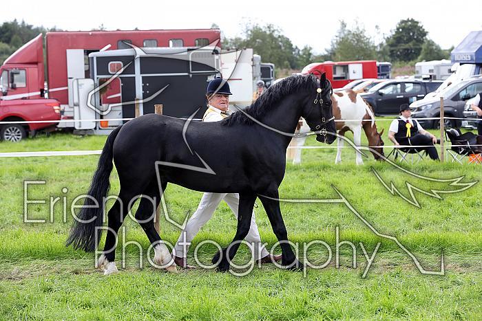 Carnwath2025Ring1570