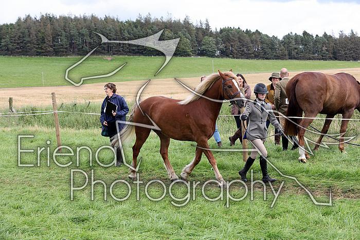 Carnwath2025Ring1572