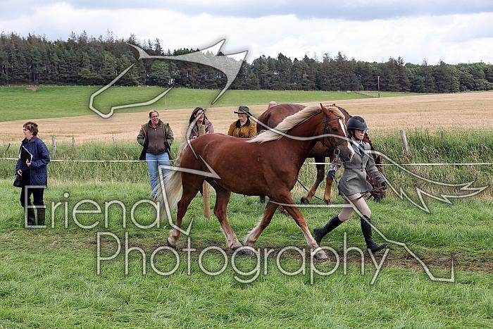 Carnwath2025Ring1573
