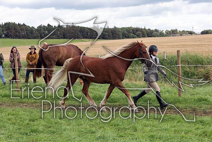 Carnwath2025Ring1574