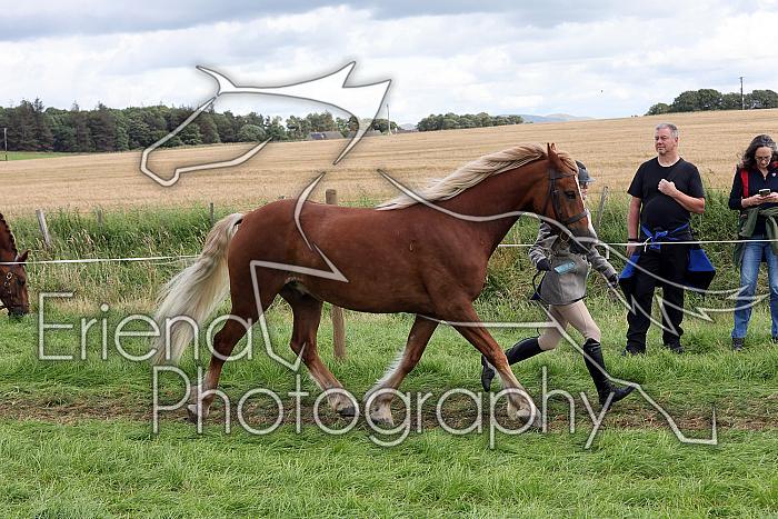 Carnwath2025Ring1575