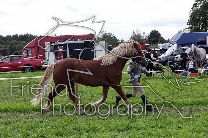 Carnwath2025Ring1577