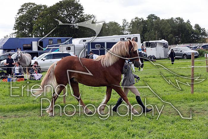 Carnwath2025Ring1579