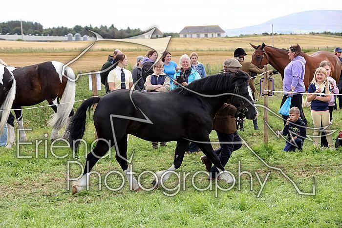 Carnwath2025Ring1582