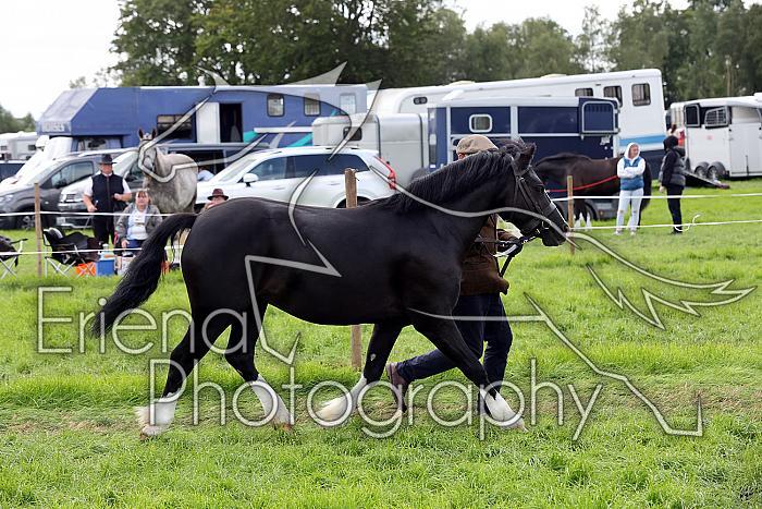 Carnwath2025Ring1585