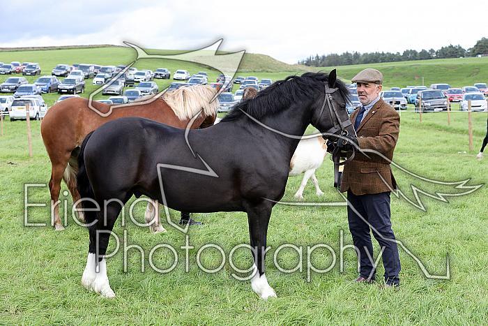 Carnwath2025Ring1590