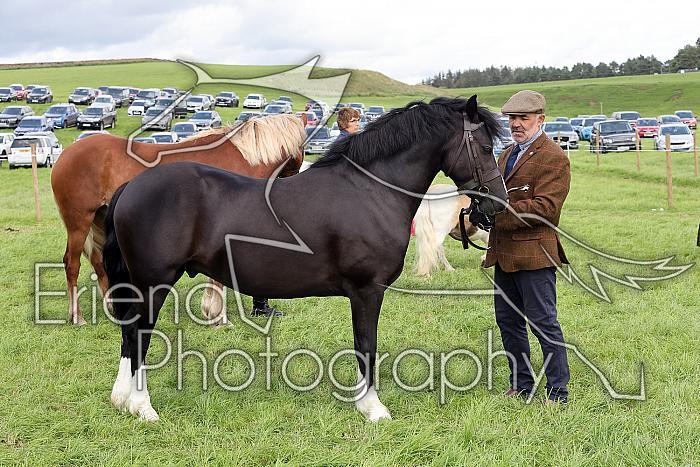 Carnwath2025Ring1591