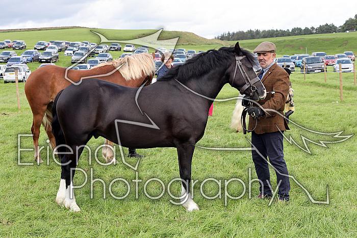 Carnwath2025Ring1592