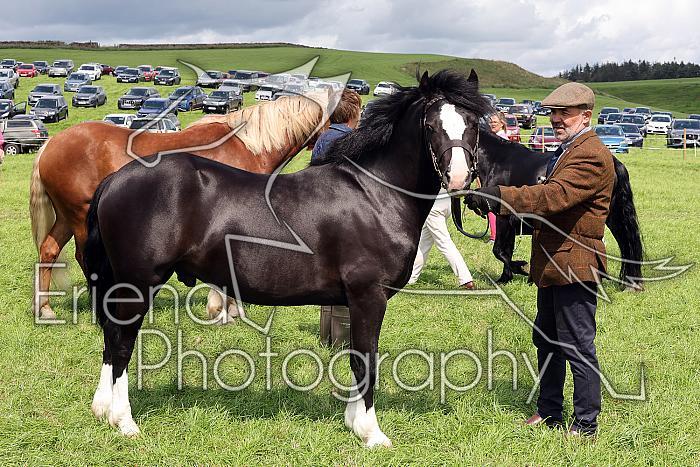 Carnwath2025Ring1593