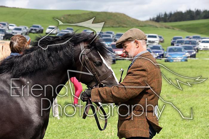 Carnwath2025Ring1594