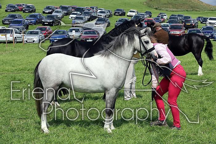 Carnwath2025Ring1599