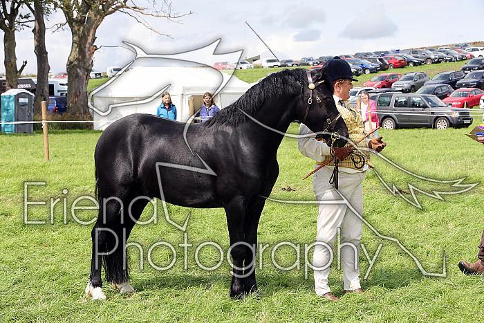 Carnwath2025Ring1602