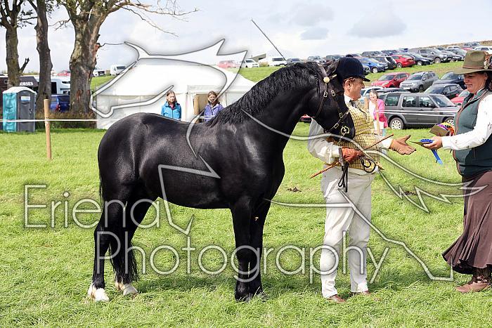 Carnwath2025Ring1603