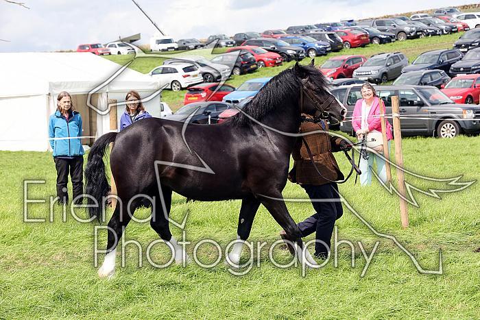 Carnwath2025Ring1606
