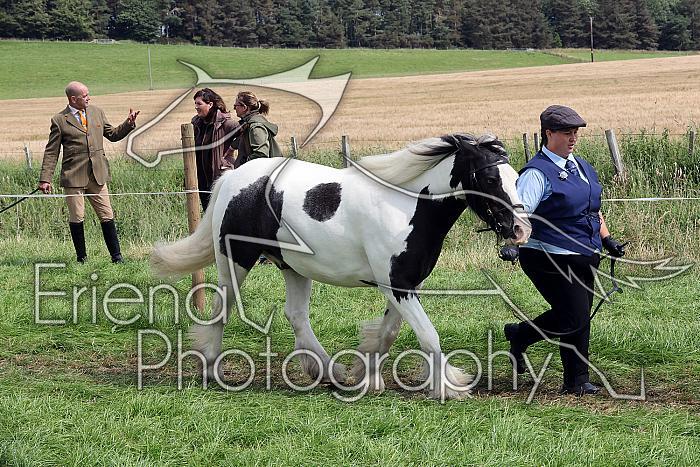 Carnwath2025Ring1607