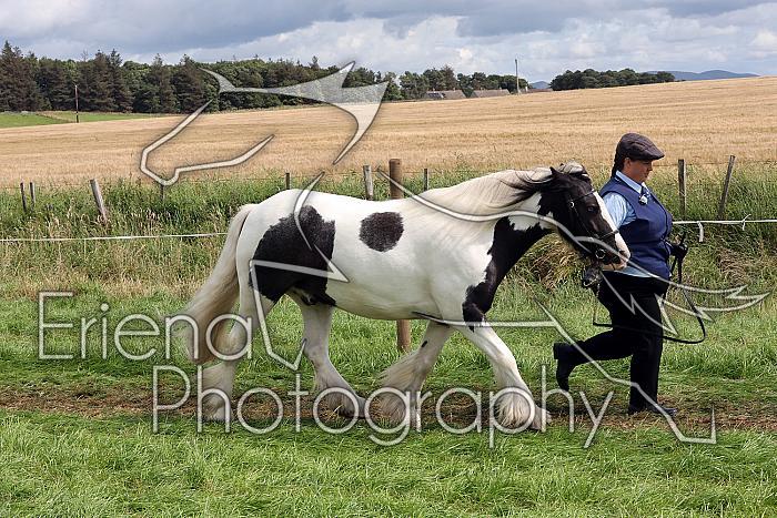 Carnwath2025Ring1609