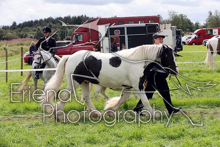 Carnwath2025Ring1613