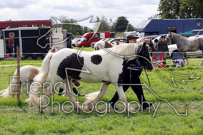 Carnwath2025Ring1614