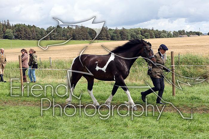 Carnwath2025Ring1616