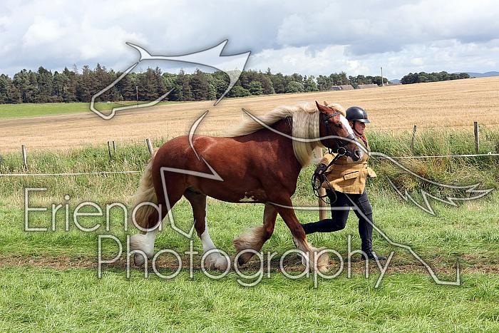 Carnwath2025Ring1621