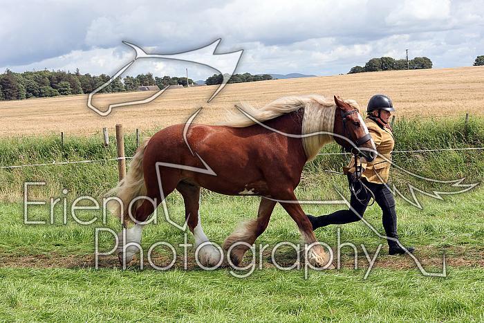 Carnwath2025Ring1622