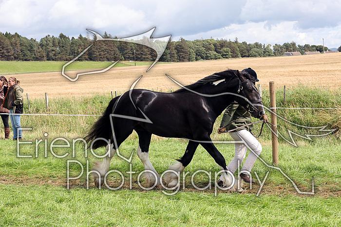 Carnwath2025Ring1625