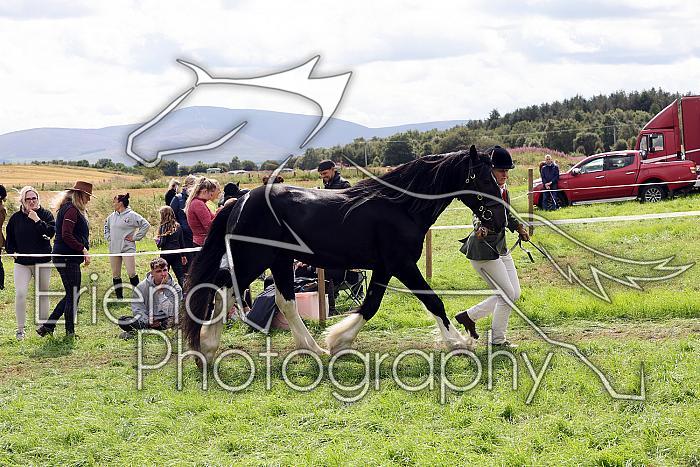 Carnwath2025Ring1628