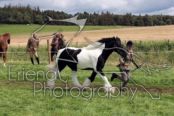 Carnwath2025Ring1629