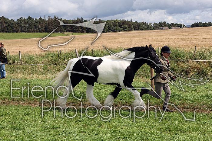 Carnwath2025Ring1630