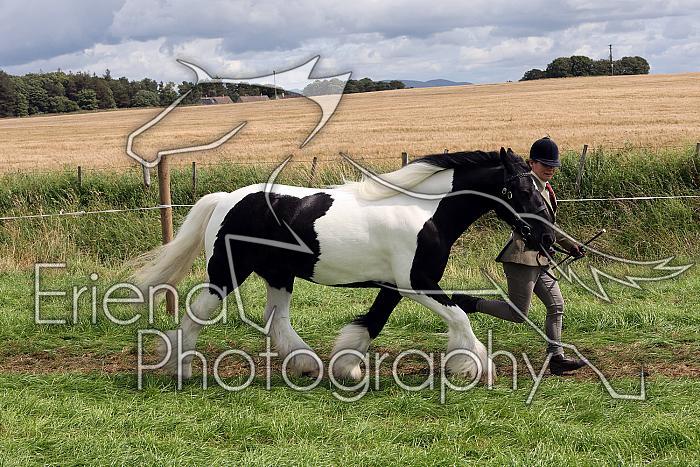 Carnwath2025Ring1631