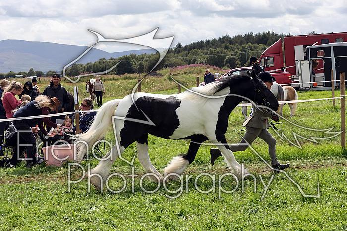Carnwath2025Ring1634