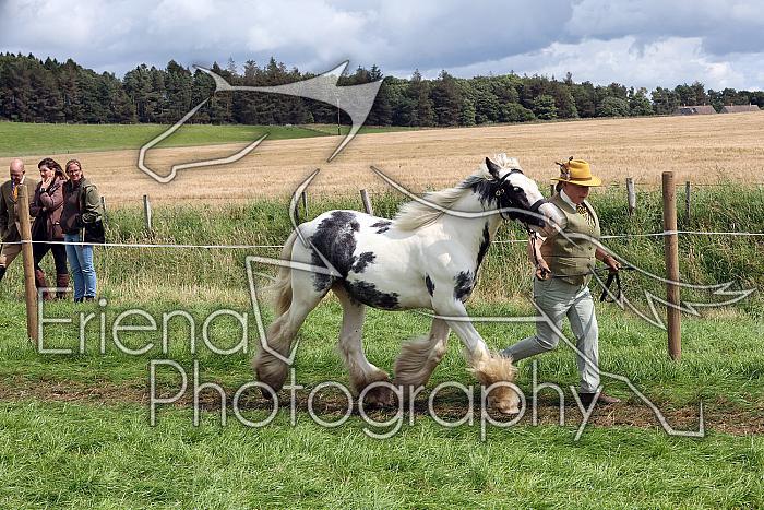 Carnwath2025Ring1635