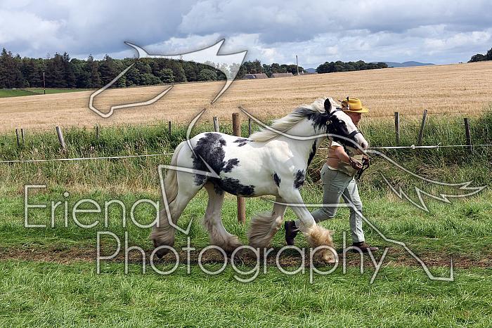 Carnwath2025Ring1636